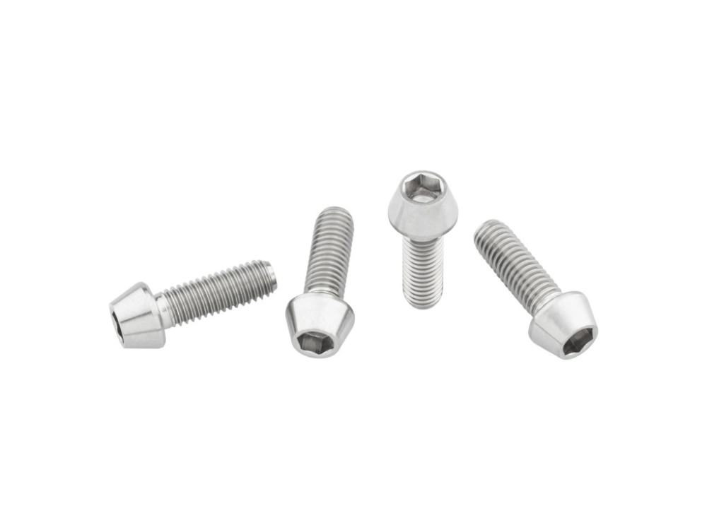 Wolf Tooth Flaschenhalter Schrauben Titan 4stk. titan raw, standard Kopf 4mm hex.