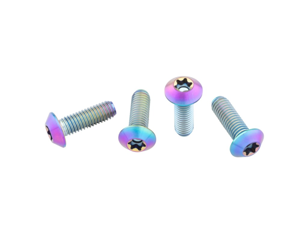 Wolf Tooth Flaschenhalter Schrauben Titan 4stk. oil slick, Low Profile Kopf, T25