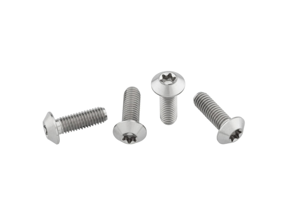 Wolf Tooth Flaschenhalter Schrauben Titan 4stk. titan raw, Low Profile Kopf, T25