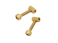 Wolf Tooth Bollt / Barrel Nut Set Titan gold (1c)