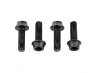 Wolf Tooth Flaschenhalter Schrauben schwarz