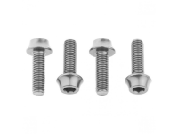 Flaschenhalter Schrauben silber