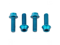 Wolf Tooth Flaschenhalter Schrauben türkis