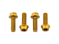 Wolf Tooth Flaschenhalter Schrauben gold