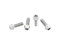 Flaschenhalter Schrauben Titan 4stk. titan raw, standard Kopf 4mm hex.