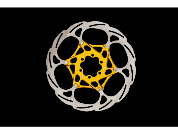 Disc Scheibe 6H 2Pieces gold