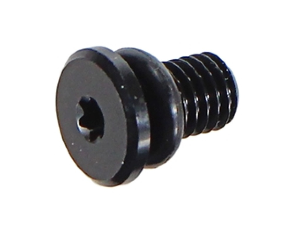 Bleed screw kit