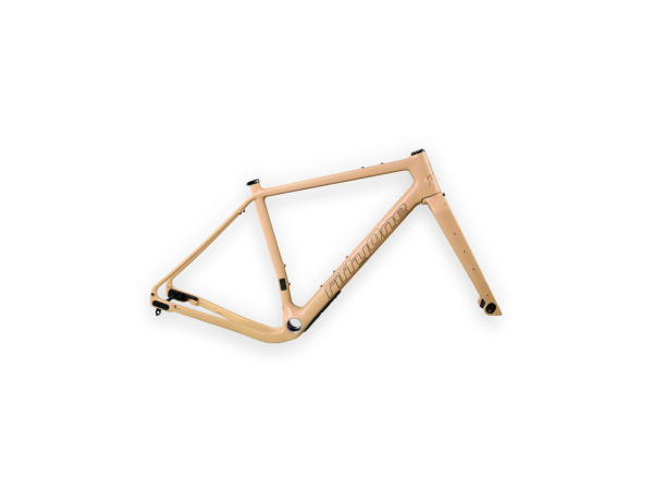 Assassin Dessert Storm