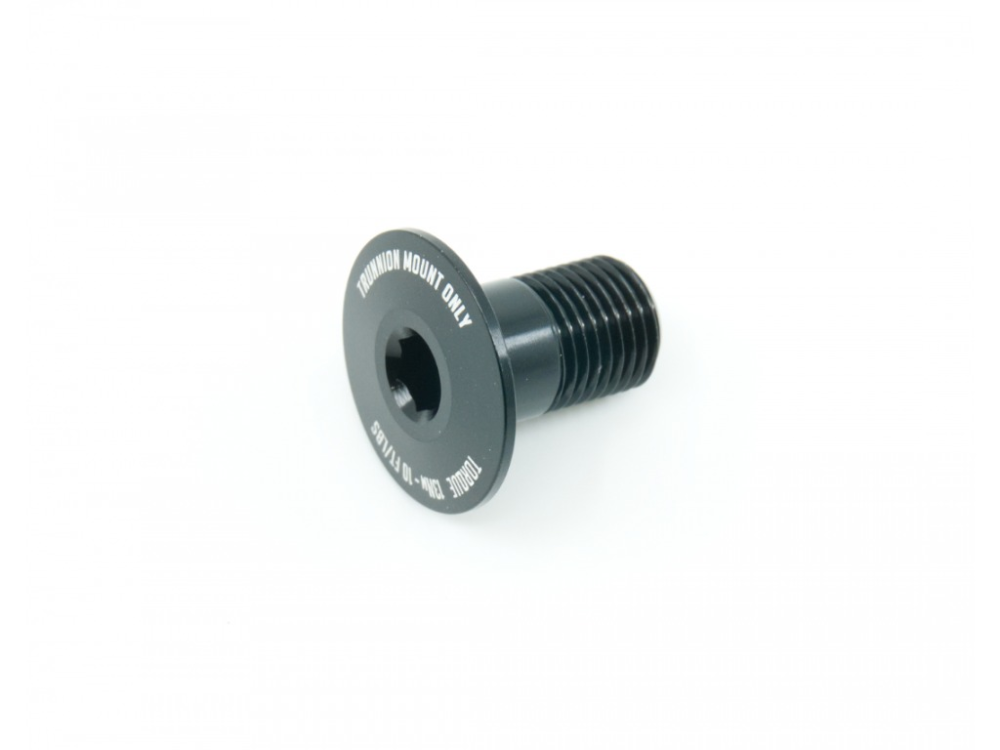 Pivot Cycles Frame Bolt M10 Trunnion Mount Bolt